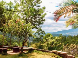 Velora Hill Ella | Panoramic Hilltop Stay #105