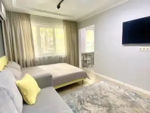 3-room, Gray apartment