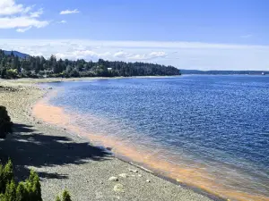 Castle Cove Inn