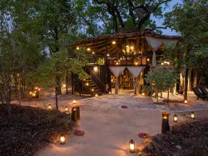 Tree House Hideaway