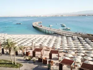SRNTY Sahl Hasheesh