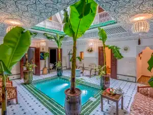 Riad les palmiers de la medina