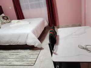 Texas Homes Meru Airbnbs