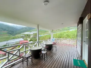Alpaca Club Homestay