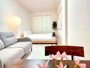 1Room28 ㎡, near Skytree. Direct access to Skytree, Asakusa , Ginza, and Nihonbashi, airport.