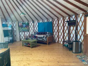 Bear Kamp Yurt. A unique glamping experience