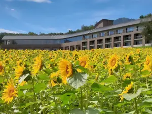 FURANO HOTEL  (Renewal Opening on May, 2025)