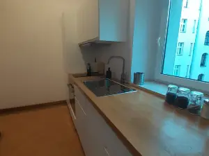 Oak & Ivy Apartment