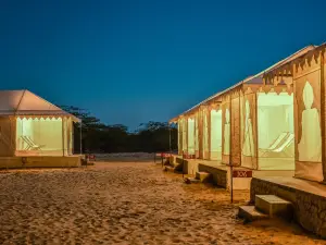 Explore Overnight Desert Camp