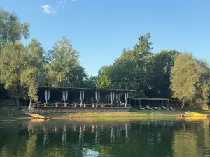 Skadar Lake Life