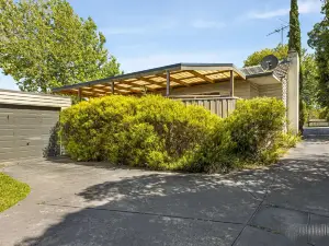 Ringwood holiday house