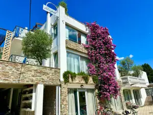 Angel Apartments