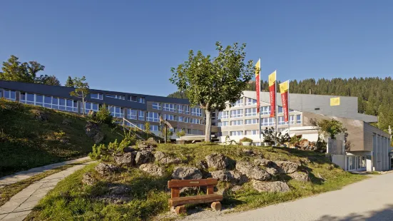 瑞吉卡爾巴德瑞士品質飯店