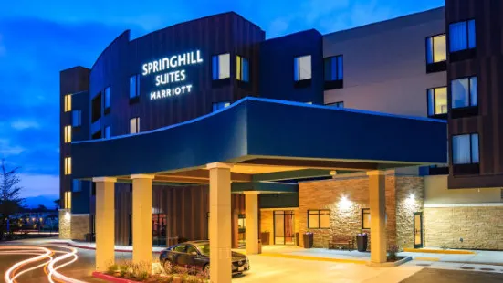 蒙特雷灣沙丘SpringHill Suites酒店