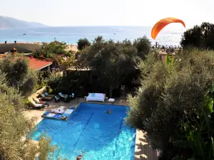 Oyster Residences - Adult Only