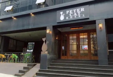 彼得貓飯店 新村（弘大店） 熱門飯店照片