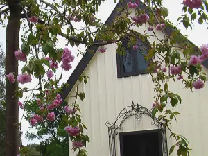 Silverleaf Cottage