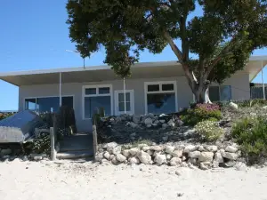 Undercurrent Sultana Point