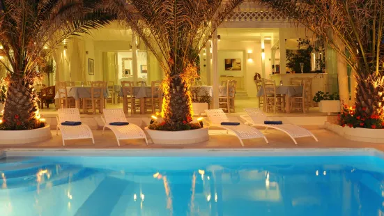 艾樂薩內海灘飯店