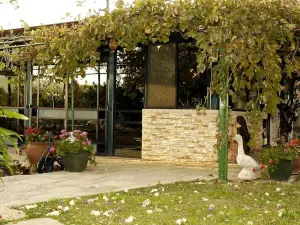 Arbel Guest House Shavit Family