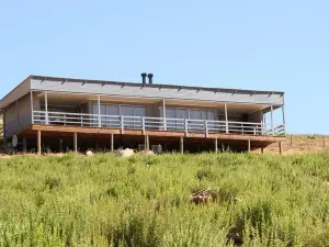 Big Sky Cottages