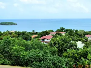 Amazing Beach View Apartments