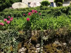 Le Moulin des Farges