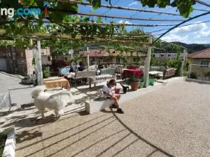Ilir Guest House 1