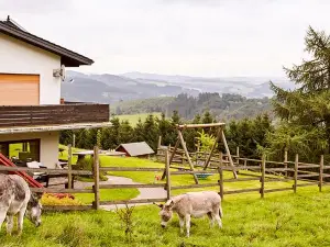 Pension Haus am Einberg