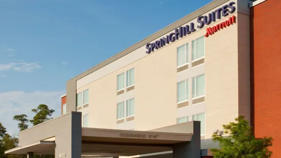 SpringHill Suites Houston the Woodlands