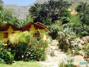 Paraiso Palmeras - Sangalle