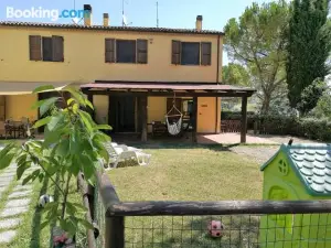 Il Gelso Nero
