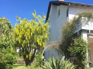 Ferienwohnung Schwarz