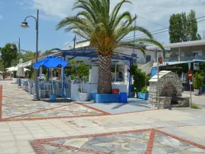 Oasi Luxury Apartments