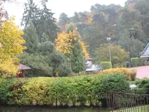 Hotel Leśny