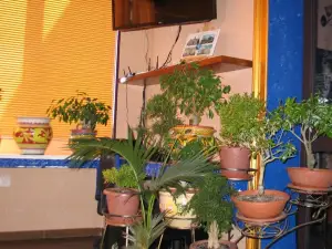 Hotel Bed & Breakfast Minu'