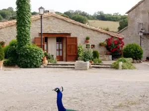 Casa Rural Torre Gargallo