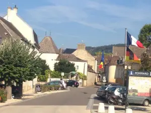 Charmot de Pommard