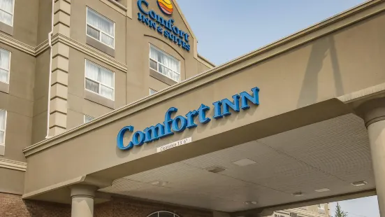 Comfort Inn & Suites South