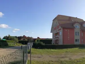 Rybitwa Dębki