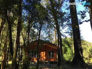 Cabañas Parque Michimahuida