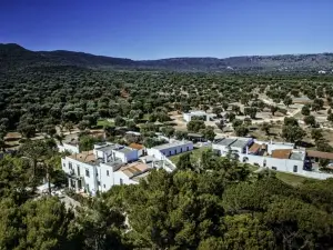 Masseria Il Frantoio