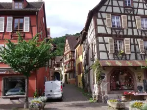 la roseraie