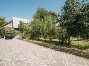 Bolnisi Prime House