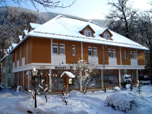 Kurpark Flair Hotel Im Ilsetal