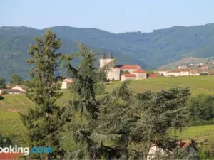 Domaine Gilles Copéret- Artisan-Vigneron- Chambres d'hôtes les Glycines -