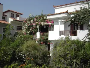 Golden Sun Kokkari