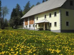 Apartments Čumar