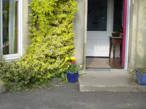 No 9 the Guest House Perth