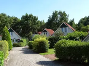 Vakantiepark Bosmeer Friesland